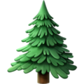Evergreen Tree ok 