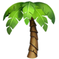 Palm Tree ok 