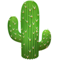 Cactus ok 