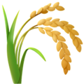 Sheaf of Rice ok 