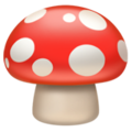 Mushroom ok 