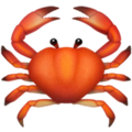 Crab ok 