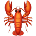 Lobster ok 