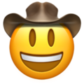 Cowboy Hat Face ok 
