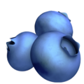 Blueberries ok 
