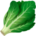 Leafy Green ok 