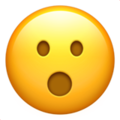 Face with Open Mouth ok 