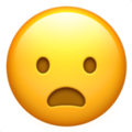 Frowning Face with Open Mouth ok 