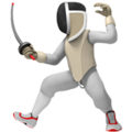 Person Fencing ok 