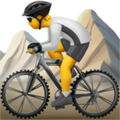 Person Mountain Biking ok 