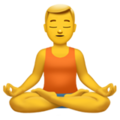 Man in Lotus Position ok 