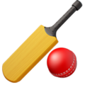 Cricket Game ok 