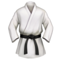 Martial Arts Uniform ok 