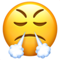 Face with Steam From Nose ok 