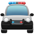 Oncoming Police Car ok 