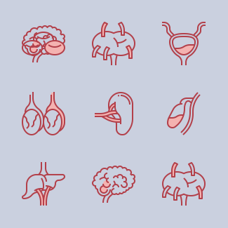 Human Anatomy icons pack