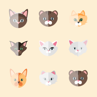 Cat Collection icons pack