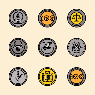 Africa coins icons pack