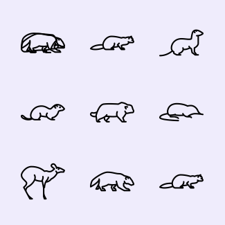 Forest animals icons pack