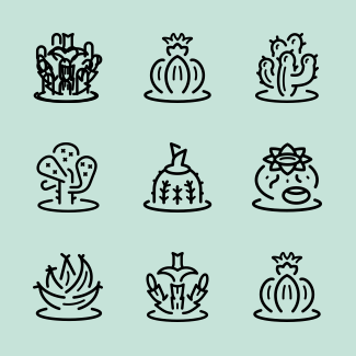 Cactus icons pack