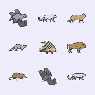 Forest animals icons pack